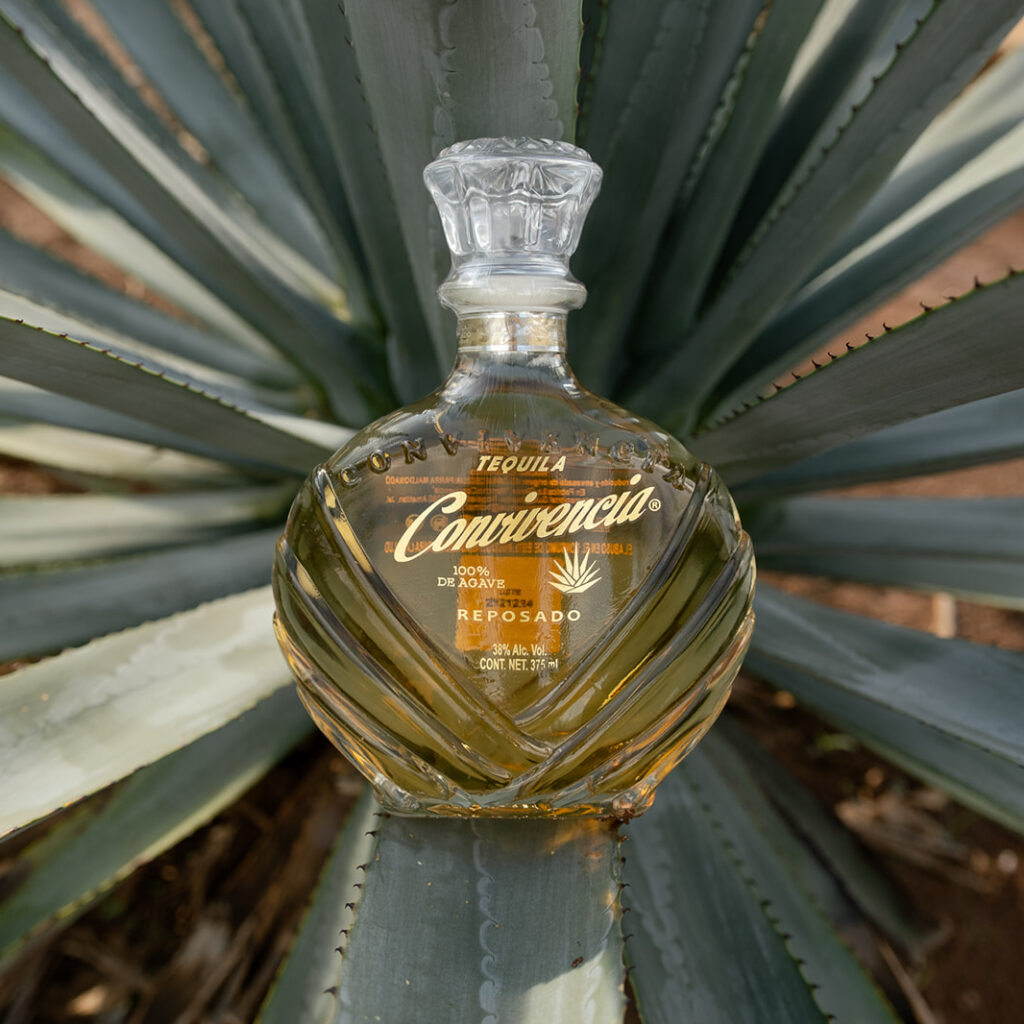 Tequila Convivencia Reposado (375 ml)