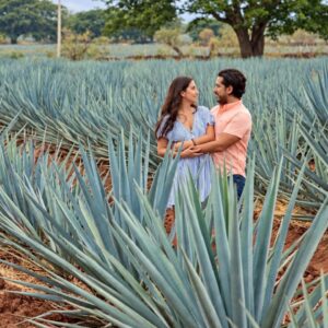 Tour a Tequila y Jose Cuervo